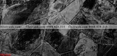 File gốc File vân đá đá cẩm thạch VD5418 (in lụa) hoa văn cổ điển