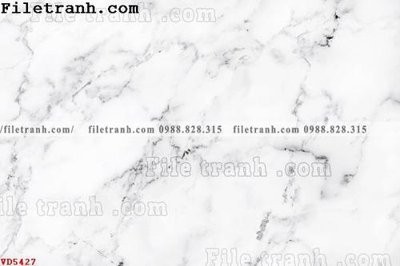 Chi tiết file tranh tráng gương File vân đá đá cẩm thạch VD5427 (ảnh gốc)