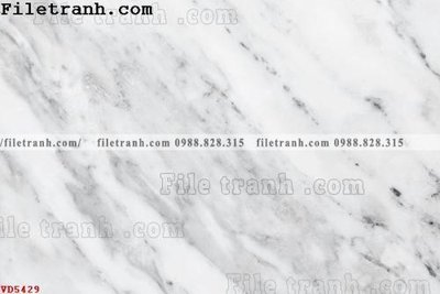 Mua file gốc File vân đá đá cẩm thạch VD5429 (chất lượng) tại Filetranh.com