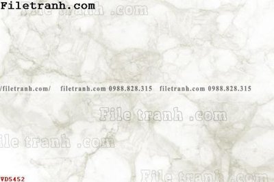 Tải file File vân đá đá cẩm thạch VD5452 (gốc) làm file quảng cáo