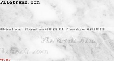 File gốc File vân đá đá cẩm thạch VD5465 (in ấn) không giới hạn