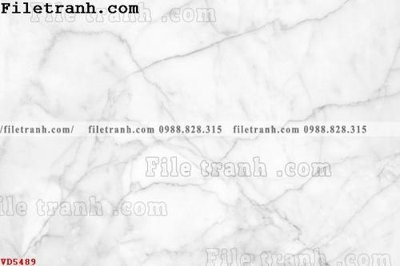 Tải file File vân đá đá cẩm thạch VD5489 (ảnh gốc) file TIFF