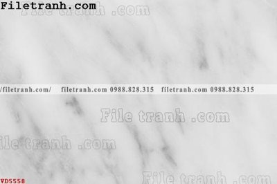 Ảnh gốc File vân đá đá cẩm thạch VD5558 (độ nét cao) in tráng gương
