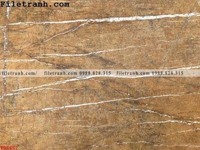 Tải file gốc File vân đá đá cẩm thạch VD5657 (bản PSD) đầy đủ layer