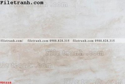 Tải file gốc File vân đá đá cẩm thạch VD5660 (bản PSD) gốc