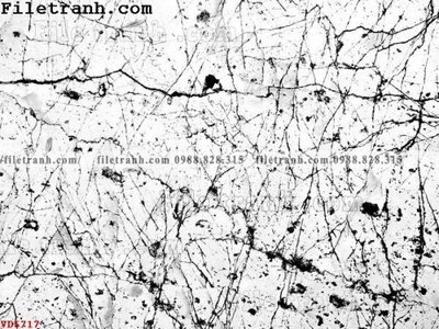 File gốc File vân đá đá cẩm thạch VD5717 (cho in 3D) độc đáo