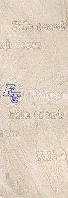 Tải file File tranh vân đá đá cẩm thạch VDG201 (gốc) làm file quảng cáo