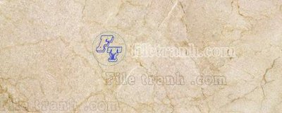 File gốc File tranh vân đá đá cẩm thạch VDG219 (dành cho trang trí nội thất)