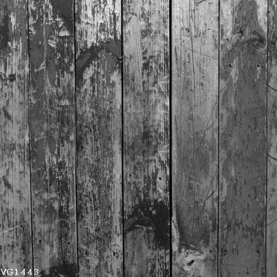 Chi tiết file gốc File in vân gỗ VG1443 (cho in tráng gương)