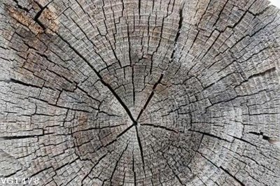 File tranh in mica File in vân gỗ VG1478 (độ phân giải cao)