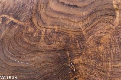 Tải file File in vân gỗ VG1524 (ảnh gốc) in tráng gương