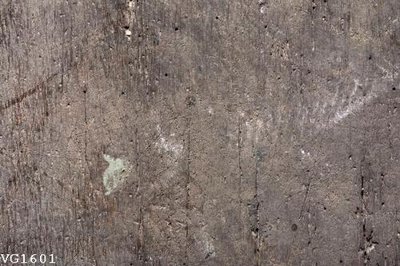 File tranh File in vân gỗ VG1601 (bản gốc) trang trí văn phòng