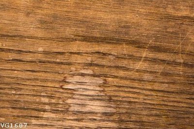 Tải file gốc File in vân gỗ VG1607 (in tráng gương) siêu đẹpFile tranh gốc File in vân gỗ VG1607 chất lượng cao