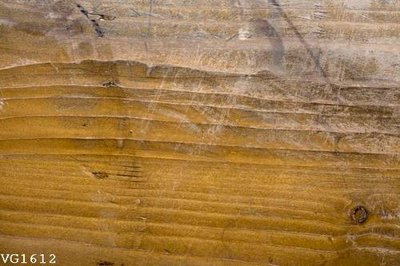 File gốc File in vân gỗ VG1612 (phong cách) tối giản