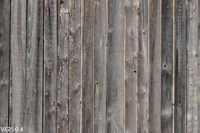 File in trần File in vân gỗ VG504 (bản gốc) đại dương