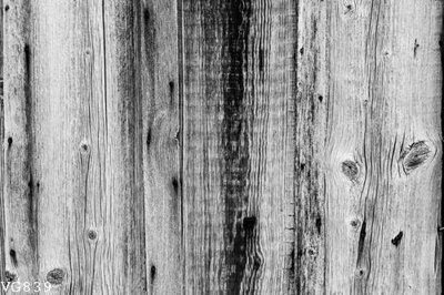 File in trần File in vân gỗ VG839 (bản gốc) mây trời