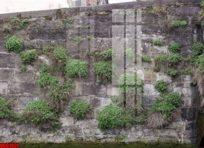 File in trần file in vân gạch , file tranh tường gạch VGG1921 (bản gốc) hoa văn