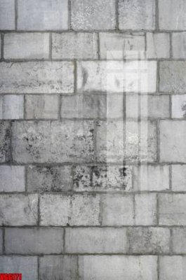 File tranh file in vân gạch , file tranh tường gạch VGG771 (gốc) chủ đề thiên nhiên