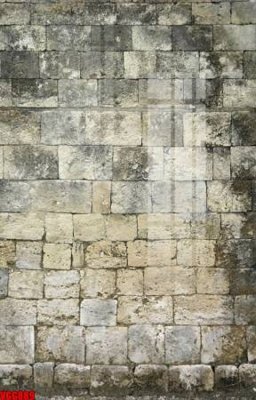 Mua file tranh gốc file in vân gạch , file tranh tường gạch VGG889 tại Filetranh.com