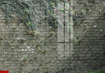 File PSD file in vân gạch , file tranh tường gạch VGG914 (bản gốc) dễ dàng edit