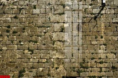 Tải file tranh file in vân gạch , file tranh tường gạch VGG919 (ảnh gốc) ngay