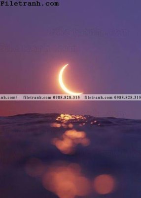 File gốc anh binh minh va hoang hon tren bien 117 (in lụa) hoa văn cổ điển