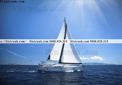 Tệp tin gốc anh chup thuan buom xuoi gio 105 (dùng cho in) anh chup thuan buom xuoi gio 105