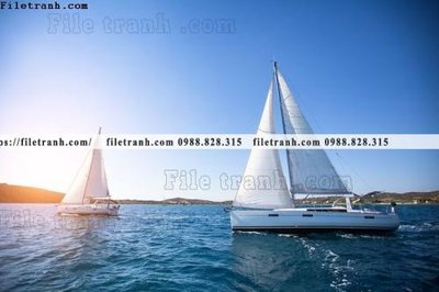 File ảnh anh chup thuan buom xuoi gio 157 (gốc) in Hiflex