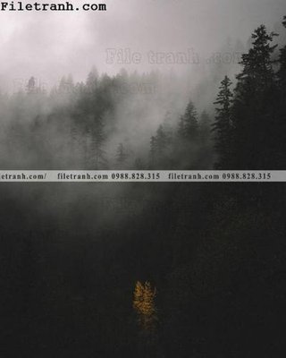 File in lụa anh phong canh dung 128 (chất lượng cao) anh phong canh dung 128