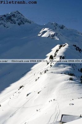 File gốc anh phong canh dung 134 (in lụa) hoa văn cổ điển