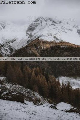 File gốc anh phong canh dung 142 (ảnh chi tiết) để in lụa