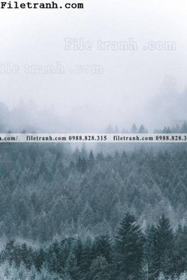 File gốc anh phong canh dung 143 (bản quyền) cho in ấn