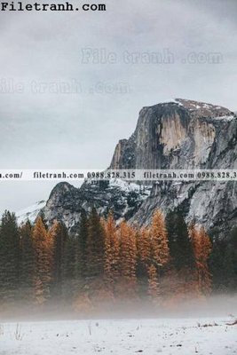 File gốc anh phong canh dung 145 (in lụa) chi tiết cao