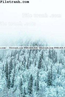 File gốc anh phong canh dung 148 (bản quyền) cho in ấn