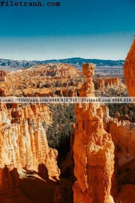 File gốc anh phong canh dung 185 (bản quyền) cho in ấn