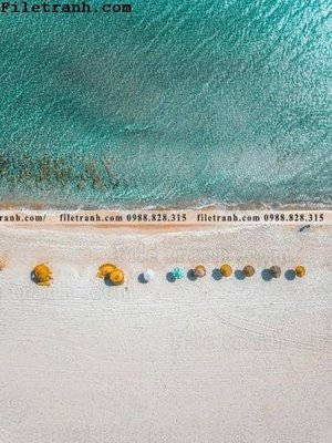 File gốc anh phong canh dung 194 (thiết kế) cho in ấn