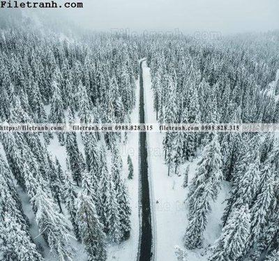 Tải file anh phong canh dung 198 (gốc) làm file tranh quảng cáo