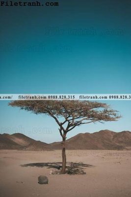 Download file gốc anh phong canh dung 209 (in lụa) nghệ thuật