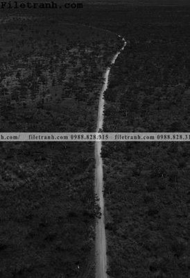 File ảnh anh phong canh dung 211 (gốc) in standee