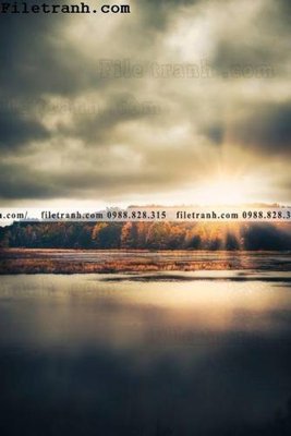 File in ấn anh phong canh dung 225 (bản gốc) sắc nét