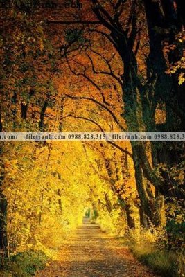 File tranh anh phong canh dung 250 (ảnh gốc) độ nét vượt trội