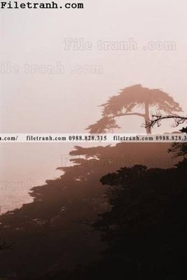 File gốc anh phong canh dung 252 (ảnh chi tiết) để in ấn