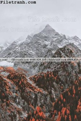 File in trần anh phong canh nui thang dung 148 (file gốc) xuyên sáng