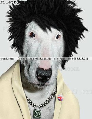 Hình ảnh file gốc in lụa anh ve cac ngoi sao thu cung duoc ca nhan hoa 121