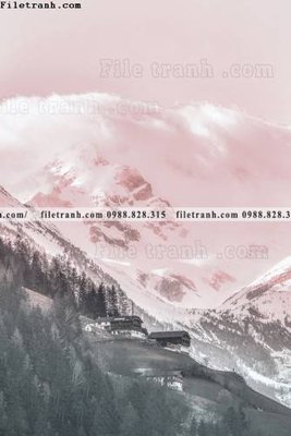 Tải file bac au moi mau hong 500 (ảnh gốc) in gạch men