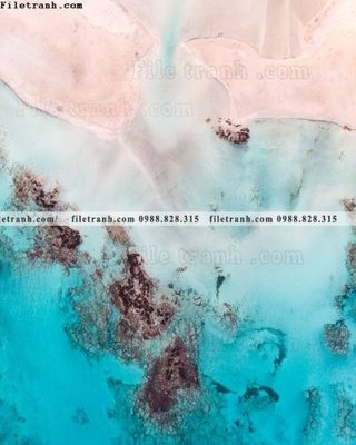 File tranh bac au moi mau hong 515 (ảnh gốc) độc quyền