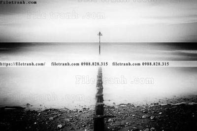 Tải file bai bien dai duong 232 (gốc) in ấn ngay lập tức