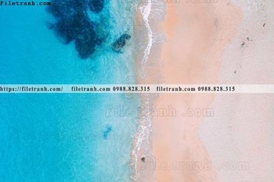 Chi tiết file ảnh bai bien dai duong 244 sắc nét