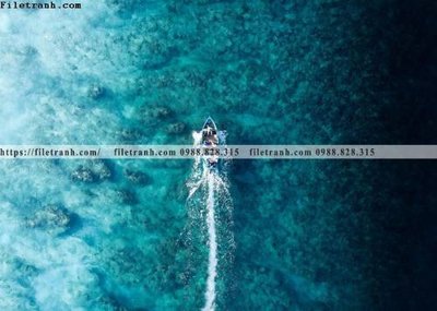 File tranh bai bien dai duong 247 (ảnh gốc) in trần nhà