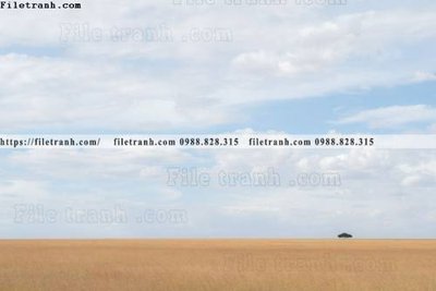 Tải file tranh gốc bai bien dai duong 257 chất lượng cao